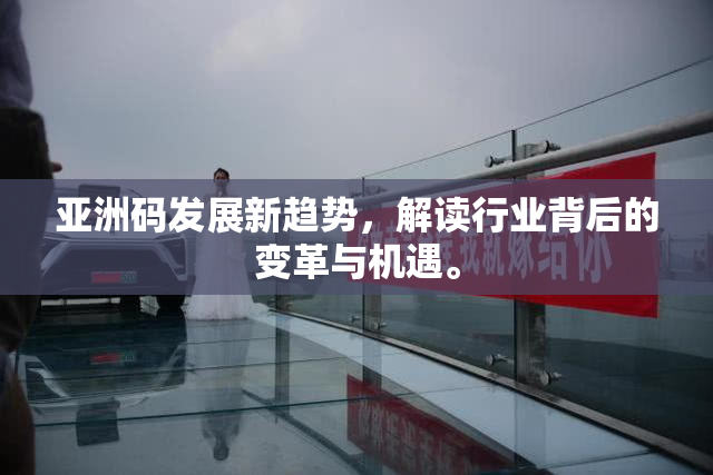 亚洲码发展新趋势,解读行业背后的变革与机遇。