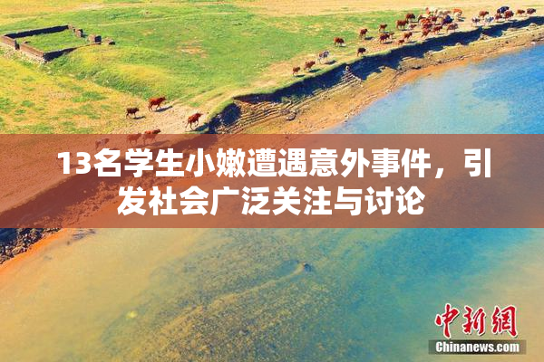 13名学生小嫩遭遇意外事件，引发社会广泛关注与讨论