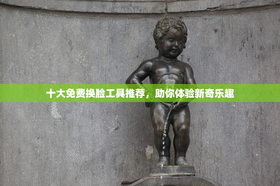 十大免费换脸工具推荐，助你体验新奇乐趣