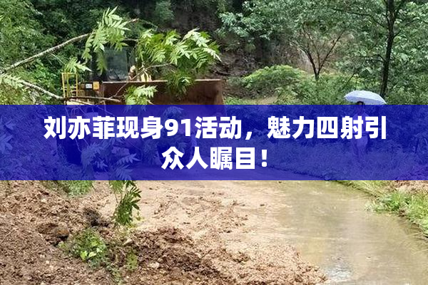 刘亦菲现身91活动，魅力四射引众人瞩目！