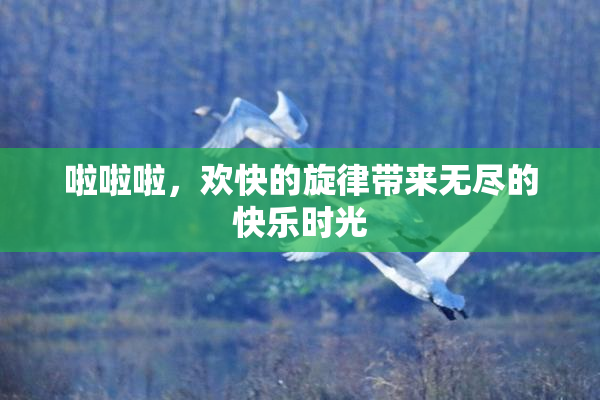 啦啦啦，欢快的旋律带来无尽的快乐时光