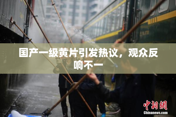 国产一级黄片引发热议，观众反响不一