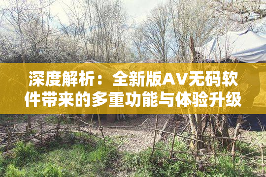 深度解析：全新版AV无码软件带来的多重功能与体验升级揭秘