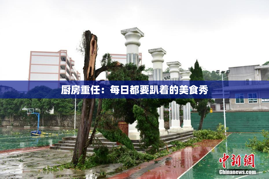 厨房重任:每日都要趴着的美食秀