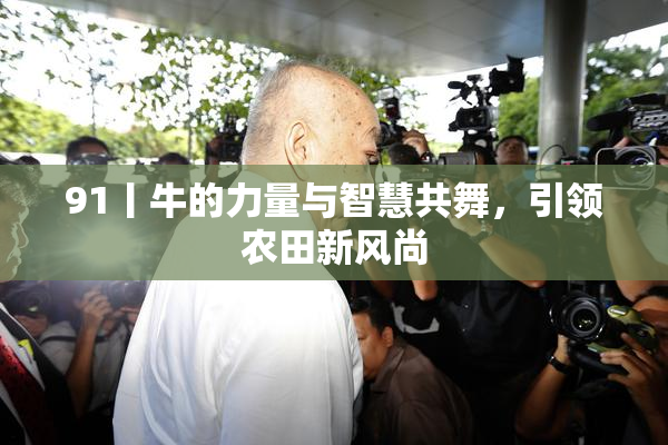 91丨牛的力量与智慧共舞，引领农田新风尚