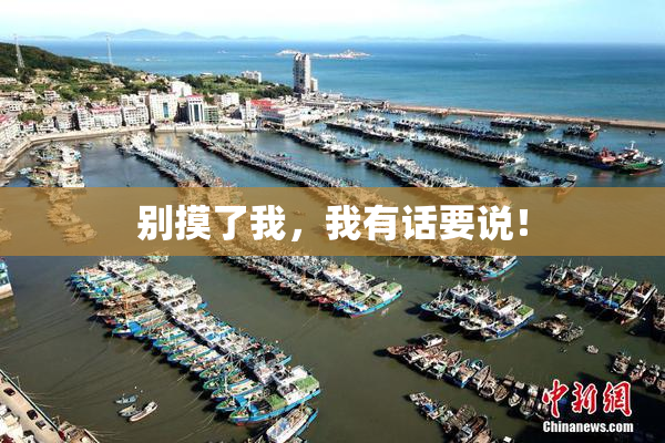 别摸了我，我有话要说！