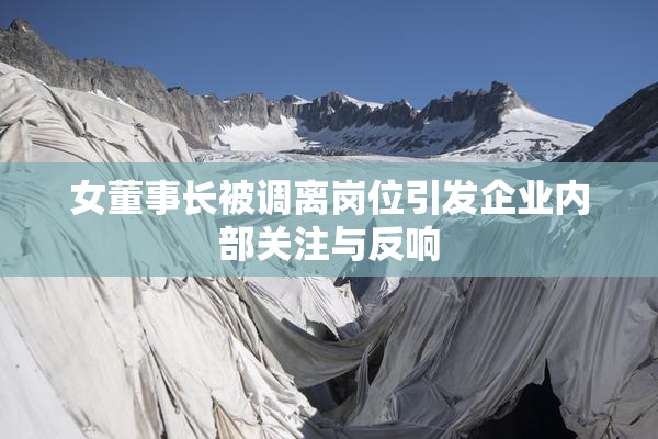 女董事长被调离岗位引发企业内部关注与反响