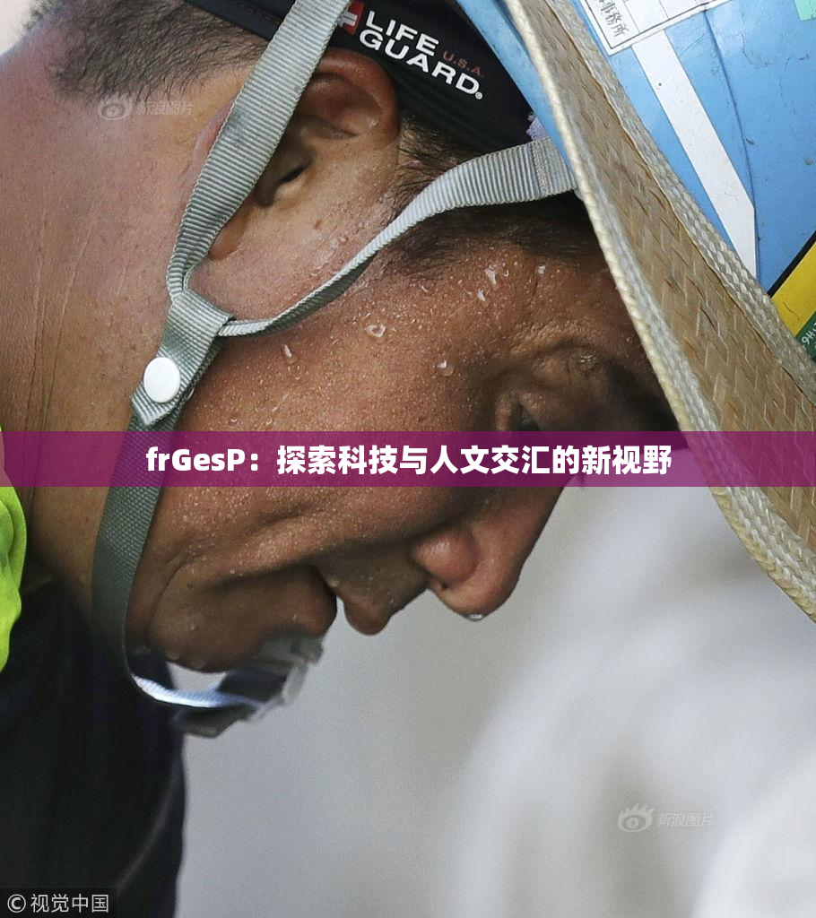 frGesP：探索科技与人文交汇的新视野