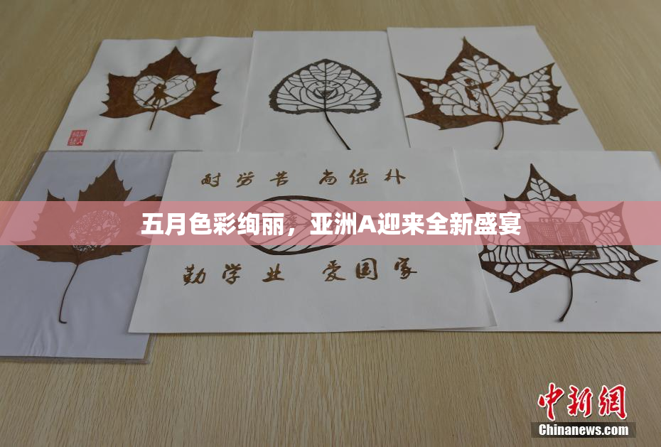 五月色彩绚丽，亚洲A迎来全新盛宴