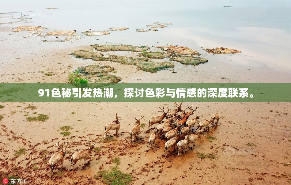 91色秘引发热潮，探讨色彩与情感的深度联系。