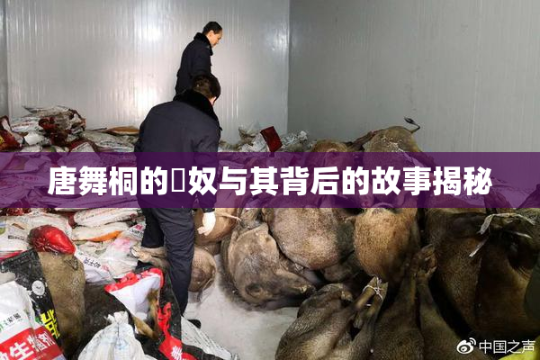唐舞桐的婬奴与其背后的故事揭秘
