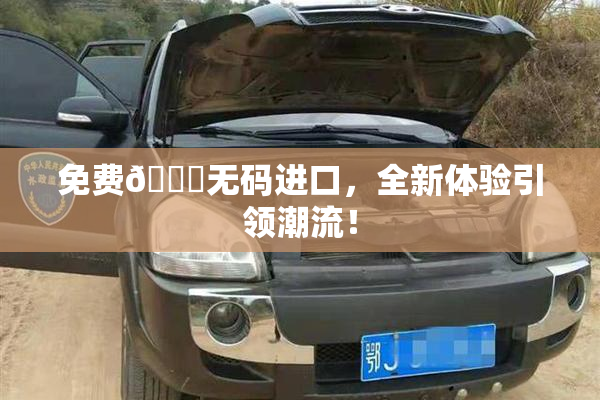 免费🔞无码进口，全新体验引领潮流！