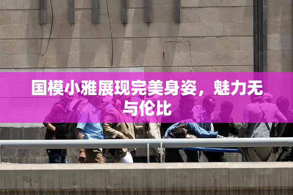 国模小雅展现完美身姿,魅力无与伦比