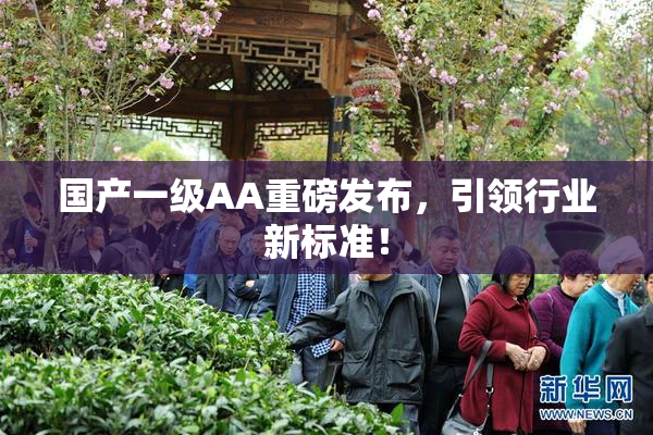 国产一级AA重磅发布，引领行业新标准！