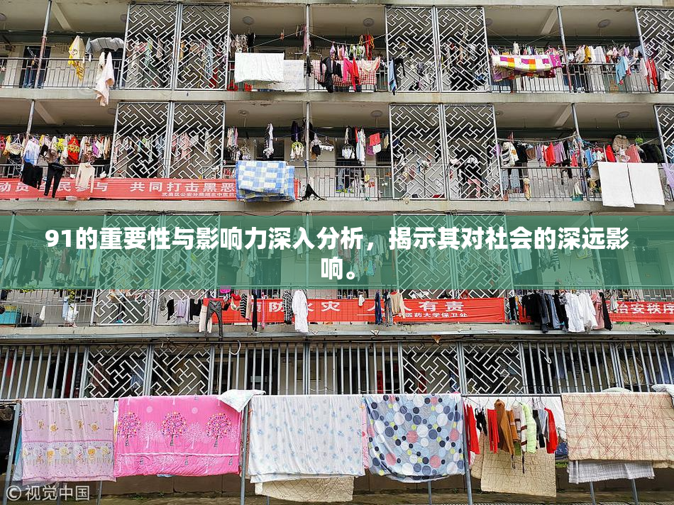 91的重要性与影响力深入分析，揭示其对社会的深远影响。