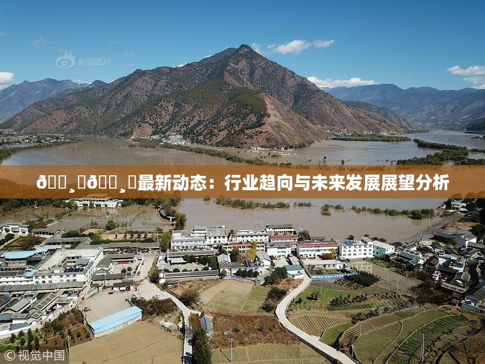 🌸‌🌸‌最新动态：行业趋向与未来发展展望分析