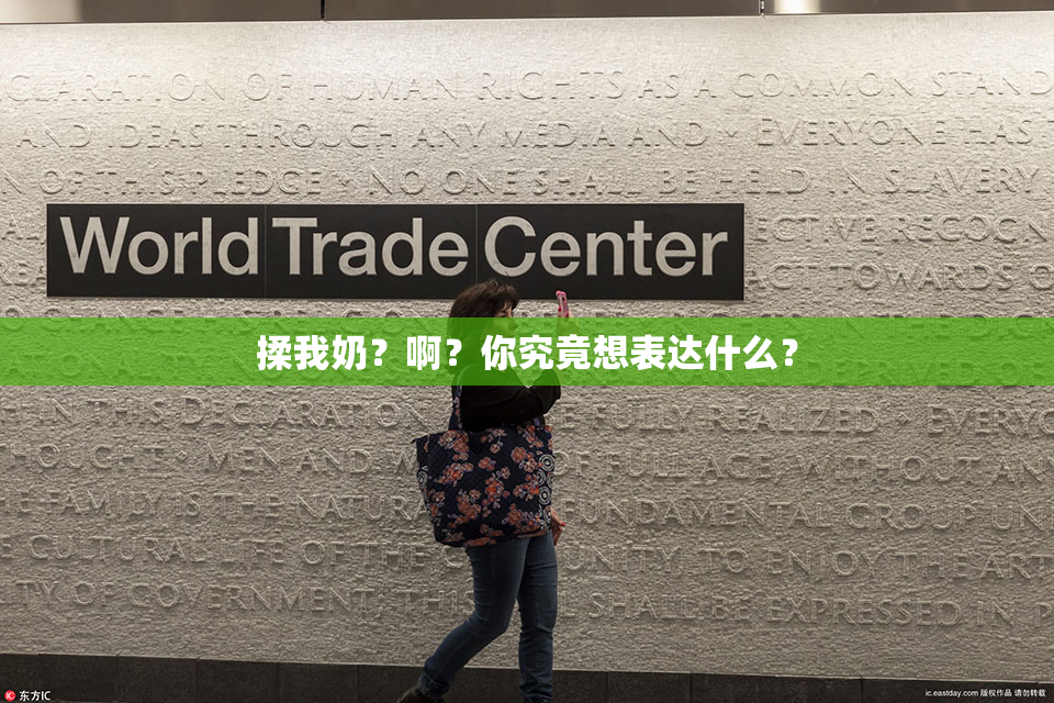 揉我奶？啊？你究竟想表达什么？