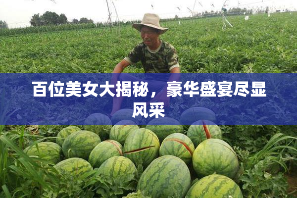 百位美女大揭秘，豪华盛宴尽显风采