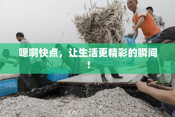嗯啊快点，让生活更精彩的瞬间！