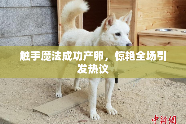 触手魔法成功产卵，惊艳全场引发热议