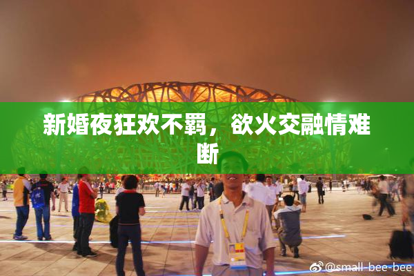 新婚夜狂欢不羁，欲火交融情难断