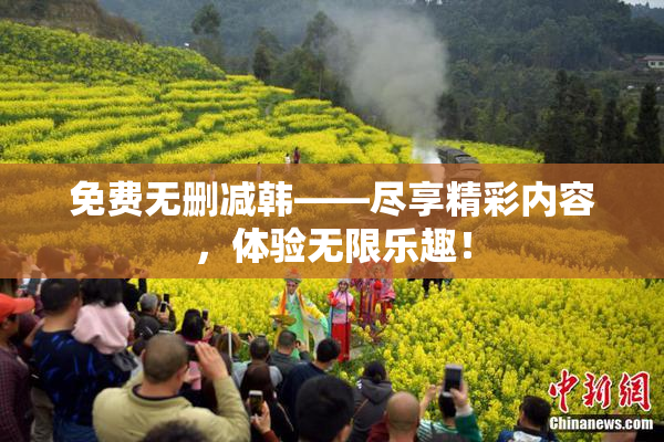 免费无删减韩——尽享精彩内容，体验无限乐趣！