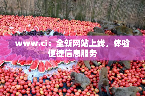 www.ci：全新网站上线，体验便捷信息服务