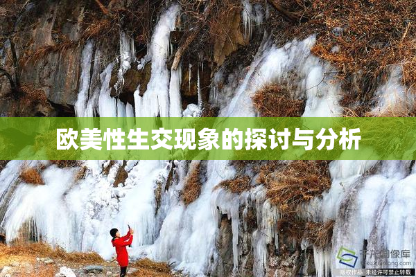 欧美性生交现象的探讨与分析
