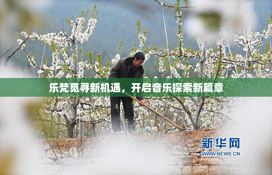 乐梵觅寻新机遇，开启音乐探索新篇章
