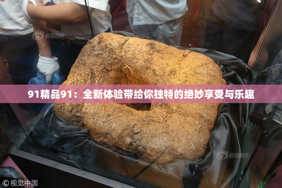 91精品91：全新体验带给你独特的绝妙享受与乐趣