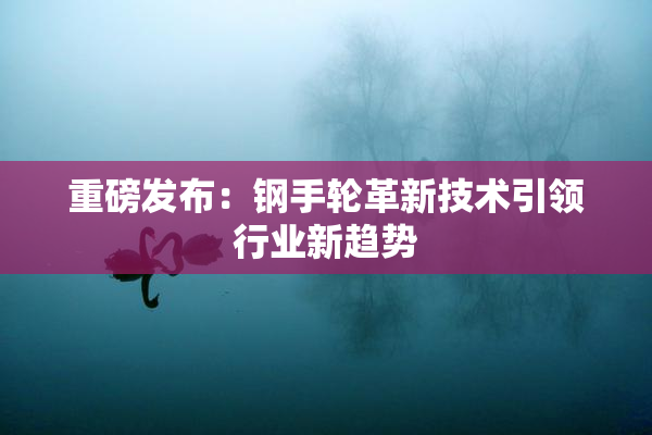 重磅发布：钢手轮革新技术引领行业新趋势