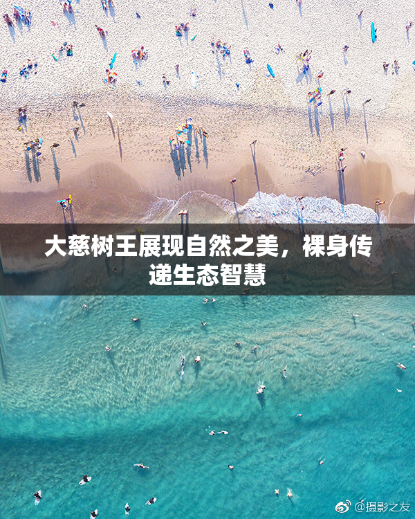 大慈树王展现自然之美，裸身传递生态智慧