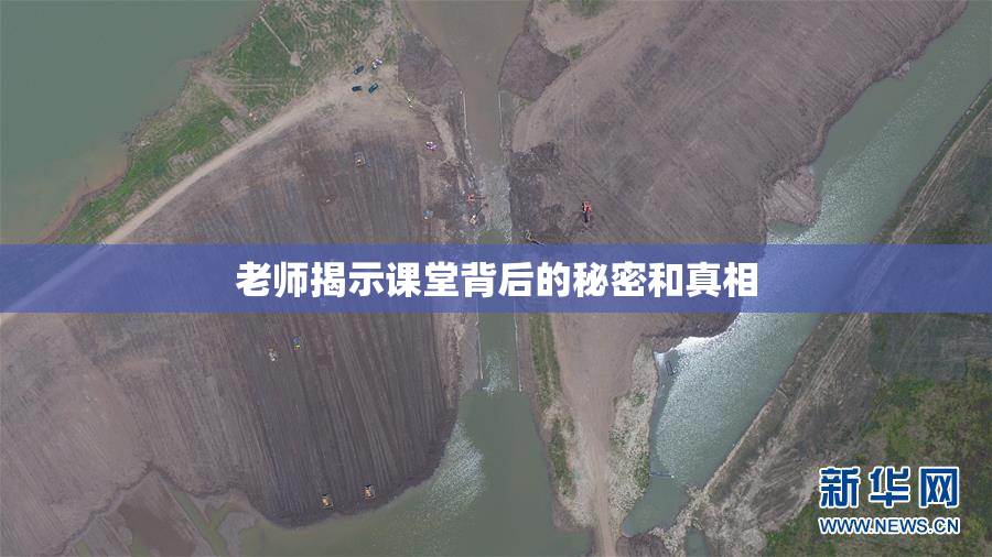 老师揭示课堂背后的秘密和真相