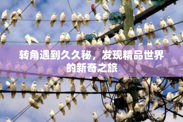 转角遇到久久秘，发现精品世界的新奇之旅