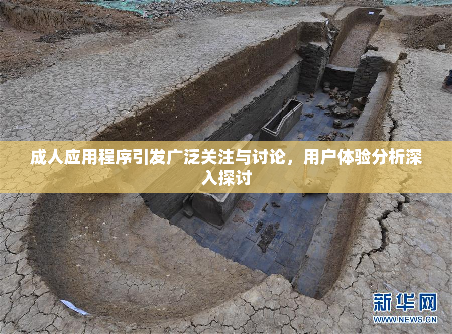 成人应用程序引发广泛关注与讨论，用户体验分析深入探讨