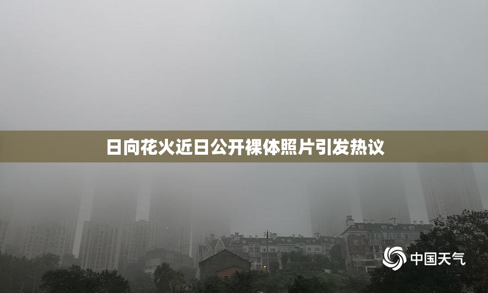 日向花火近日公开裸体照片引发热议