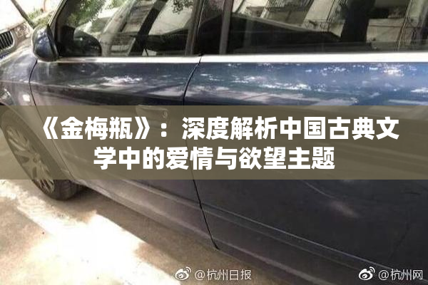 《金梅瓶》：深度解析中国古典文学中的爱情与欲望主题