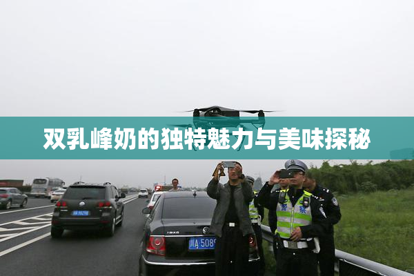 双乳峰奶的独特魅力与美味探秘