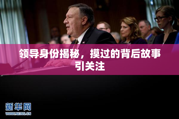 领导身份揭秘，摸过的背后故事引关注