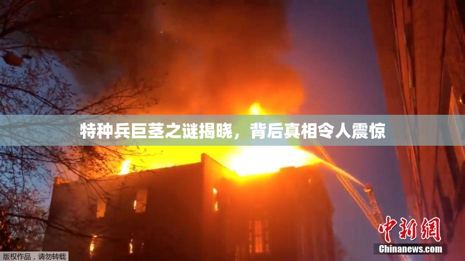 特种兵巨茎之谜揭晓，背后真相令人震惊