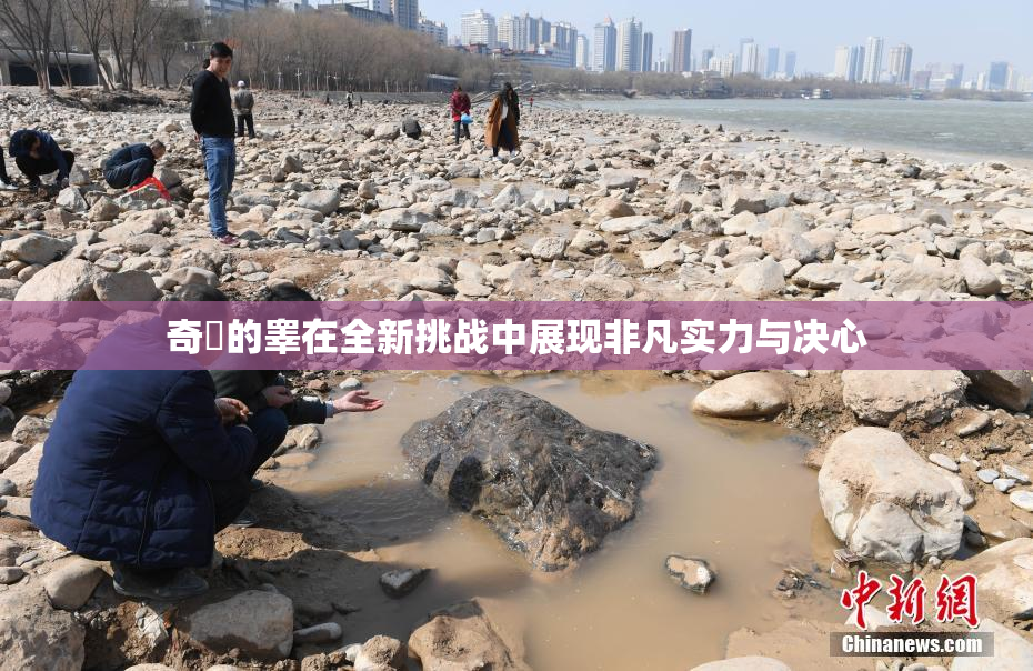 奇犽的睾在全新挑战中展现非凡实力与决心
