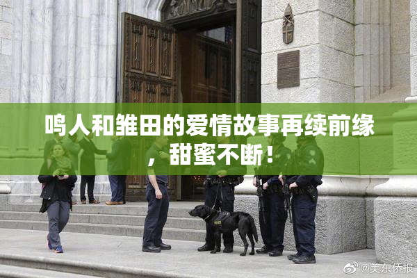 鸣人和雏田的爱情故事再续前缘，甜蜜不断！