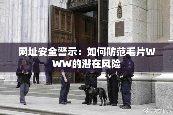 网址安全警示：如何防范毛片WWW的潜在风险