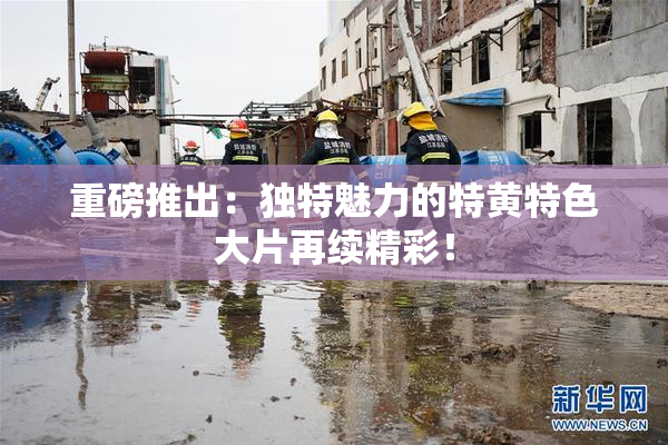 重磅推出：独特魅力的特黄特色大片再续精彩！
