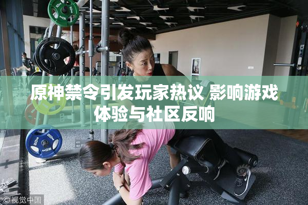原神禁令引发玩家热议 影响游戏体验与社区反响