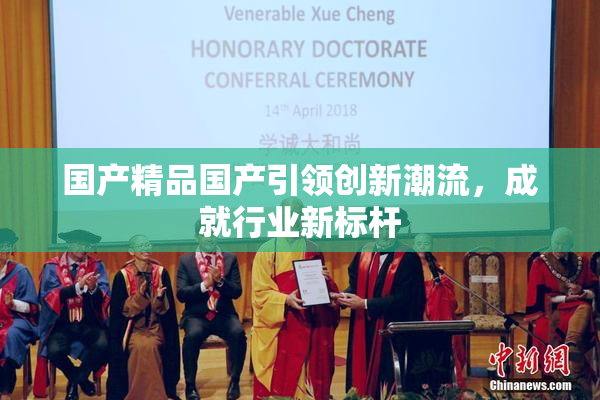 国产精品国产引领创新潮流，成就行业新标杆