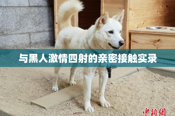 与黑人激情四射的亲密接触实录