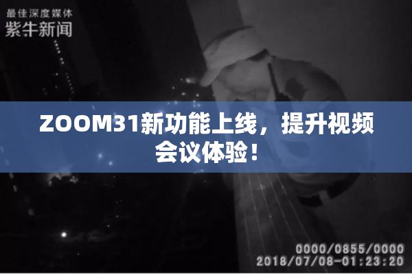 ZOOM31新功能上线，提升视频会议体验！