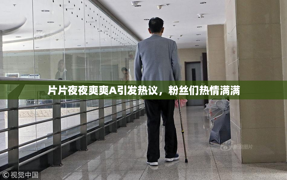 片片夜夜爽爽A引发热议，粉丝们热情满满