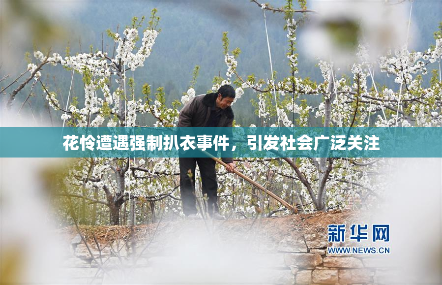 花怜遭遇强制扒衣事件，引发社会广泛关注